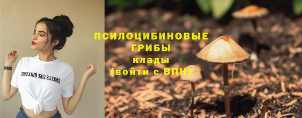 мяу мяу мука Абаза