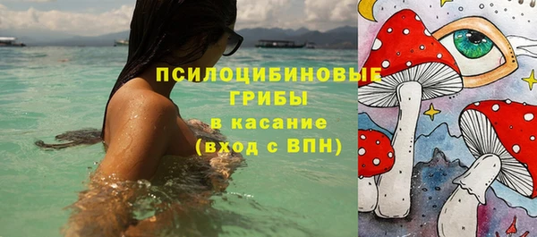 круглые Алзамай