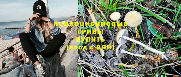 круглые Алзамай